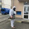 Primagra - koronavirus